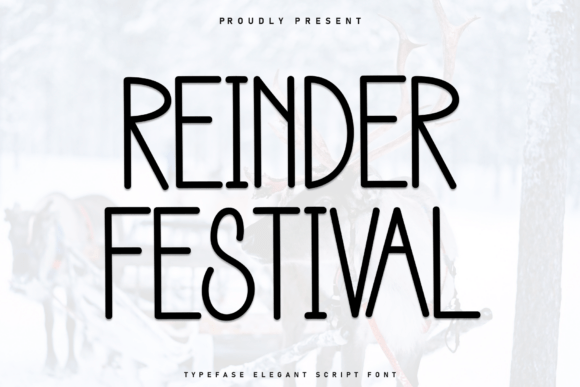 Reinder Festival: A Designer’s Practical Review